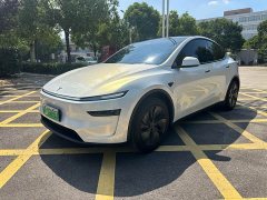 Tesla Model Y Rear-Wheel Drive - ფოტო 1