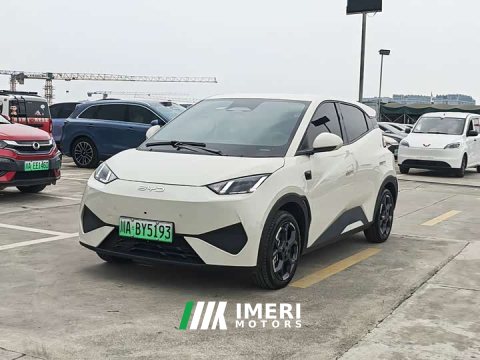 2025 BYD Seagull Smart Driving Edition 305km Freedom Edition - ავტომობილი ჩინეთიდან