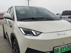 BYD Seagull Smart Driving Edition 305km Freedom Edition - ფოტო 9