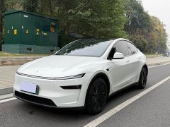 Tesla Model Y Rear-Wheel Drive - ფოტო 1