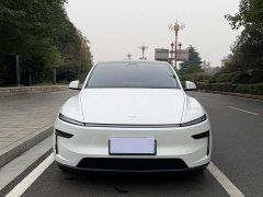 Tesla Model Y Rear-Wheel Drive - ფოტო 2