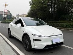 Tesla Model Y Rear-Wheel Drive - ფოტო 3