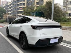 Tesla Model Y Rear-Wheel Drive - ფოტო 4