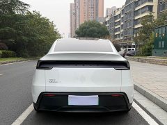 Tesla Model Y Rear-Wheel Drive - ფოტო 5
