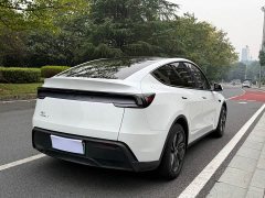 Tesla Model Y Rear-Wheel Drive - ფოტო 6