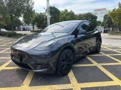Tesla Model Y Rear-Wheel Drive - ფოტო 1