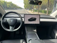 Tesla Model Y Rear-Wheel Drive - ფოტო 7