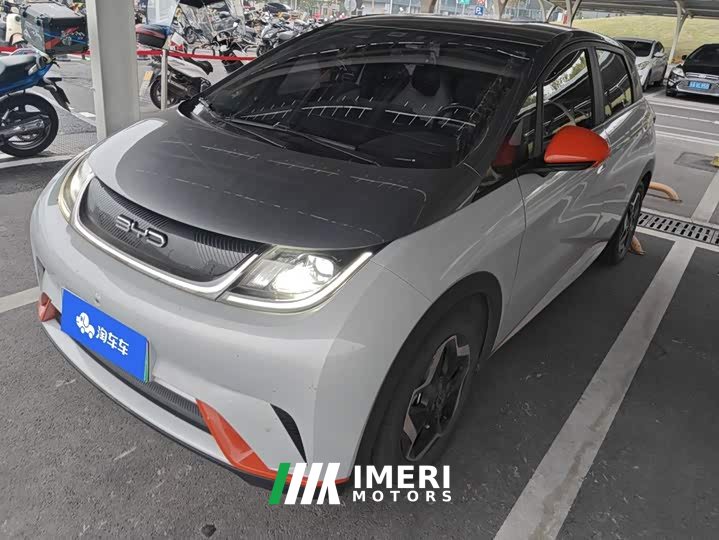 BYD Dolphin 405km Freedom Edition