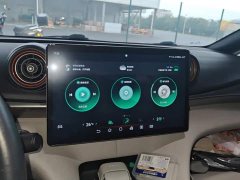 BYD Dolphin 405km Freedom Edition - ფოტო 13