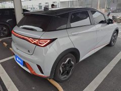 BYD Dolphin 405km Freedom Edition - ფოტო 3