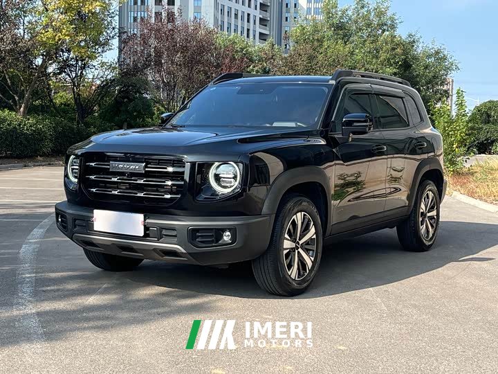 Great Wall Dachshund 1.5T DCT Two-Wheel Drive Labrador Edition - ავტომობილი ჩინეთიდან