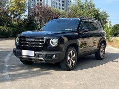Great Wall Dachshund 1.5T DCT Two-Wheel Drive Labrador Edition - ფოტო 1