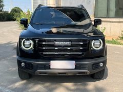 Great Wall Dachshund 1.5T DCT Two-Wheel Drive Labrador Edition - ფოტო 2