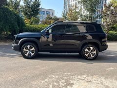 Great Wall Dachshund 1.5T DCT Two-Wheel Drive Labrador Edition - ფოტო 3