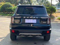 Great Wall Dachshund 1.5T DCT Two-Wheel Drive Labrador Edition - ფოტო 5