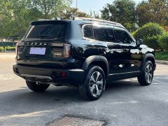 Great Wall Dachshund 1.5T DCT Two-Wheel Drive Labrador Edition - ფოტო 6