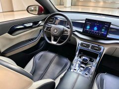 BYD Qin Plus 2021 DM-i 55KM Flagship - ფოტო 16