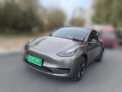 Tesla Model Y Rear-Wheel Drive - ფოტო 1