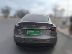 Tesla Model Y Rear-Wheel Drive - ფოტო 5