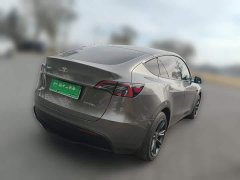Tesla Model Y Rear-Wheel Drive - ფოტო 6