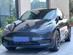 Tesla Model Y Rear-Wheel Drive - ფოტო 1