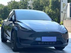Tesla Model Y Rear-Wheel Drive - ფოტო 6