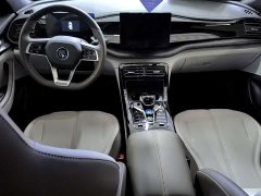 BYD Qin PLUS Glory Edition DM-i 55KM Leading - ფოტო 8