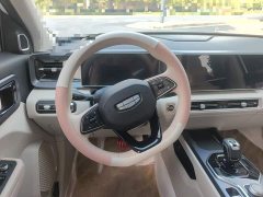 Geely ICON 1.5TD Chocolate Elegant Edition - ფოტო 6