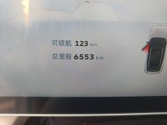 Geely ICON 1.5TD Chocolate Elegant Edition - ფოტო 8