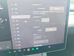 Tesla Model Y Standard Range RWD - ფოტო 20