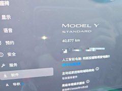 Tesla Model Y Standard Range RWD - ფოტო 8