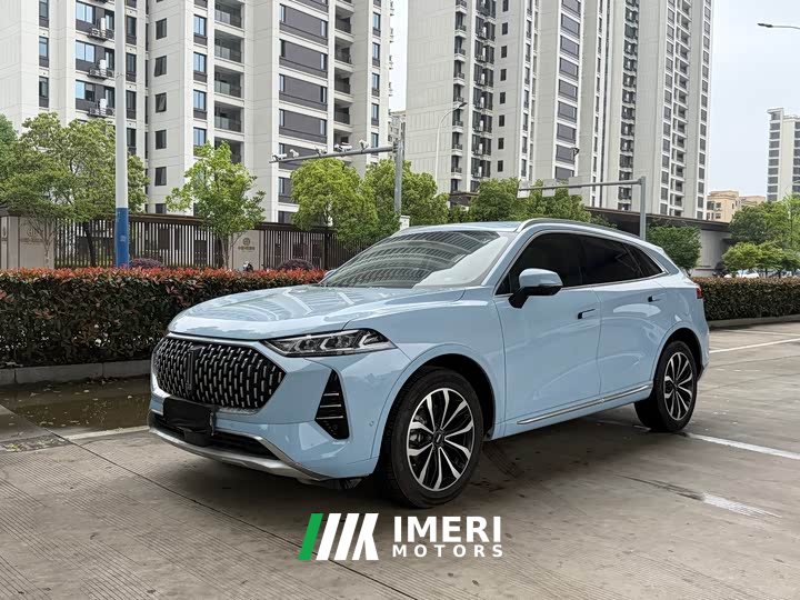 Great Wall Wei Brand Mocha 2.0T AWD Premium Edition - ავტომობილი ჩინეთიდან