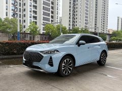 Great Wall Wei Brand Mocha 2.0T AWD Premium Edition - ფოტო 1