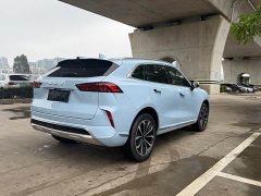 Great Wall Wei Brand Mocha 2.0T AWD Premium Edition - ფოტო 10