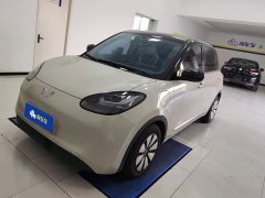Wuling Binguo 333km Joy Edition - ფოტო 1
