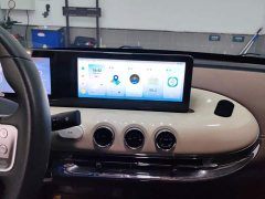 Wuling Binguo 333km Joy Edition - ფოტო 13