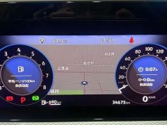 Volkswagen Lanxun 2023 330TSI Luxury Touring Edition - ფოტო 12