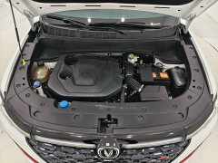 Changan CS35 PLUS 2022 Blue Whale NE 1.4T DCT Luxury - ფოტო 17