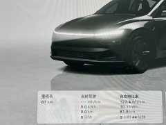Tesla Model Y Rear-Wheel Drive - ფოტო 16