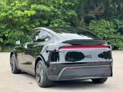 Tesla Model Y Rear-Wheel Drive - ფოტო 5