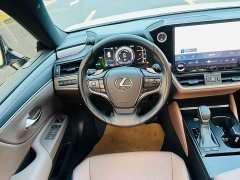 Lexus ES 2025 300h Premium Edition - ფოტო 20