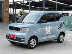 Wuling Hongguang MINIEV 2020 Zizai Trim Ternary Lithium - ფოტო 1