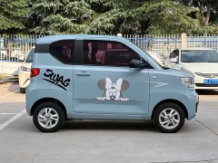 Wuling Hongguang MINIEV 2020 Zizai Trim Ternary Lithium - ფოტო 14