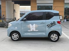 Wuling Hongguang MINIEV 2020 Zizai Trim Ternary Lithium - ფოტო 15