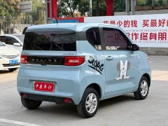 Wuling Hongguang MINIEV 2020 Zizai Trim Ternary Lithium - ფოტო 16