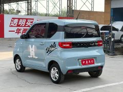 Wuling Hongguang MINIEV 2020 Zizai Trim Ternary Lithium - ფოტო 17