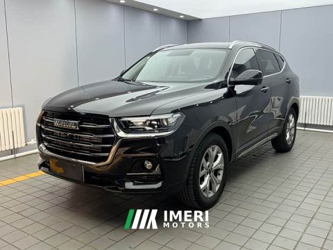 2023 Haval H6 National Trend 1.5GDIT Automatic Champion Edition