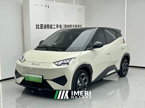 2025 BYD Seagull Smart Drive 405km Freedom Edition - ავტომობილი ჩინეთიდან
