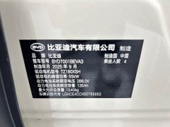 BYD Seagull Smart Drive 405km Freedom Edition - ფოტო 11