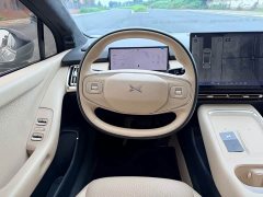 Xpeng P7 Long Range Max - ფოტო 11